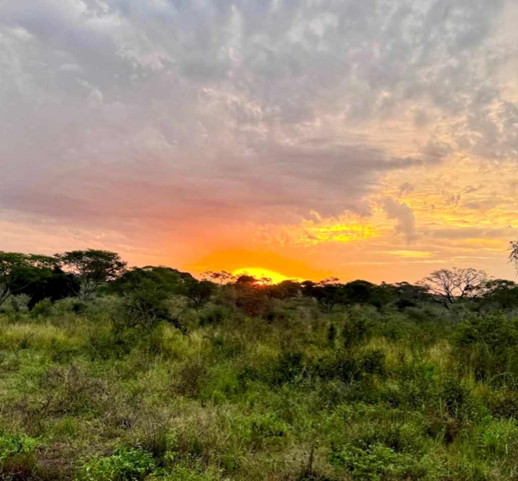 Returning to the Pearl