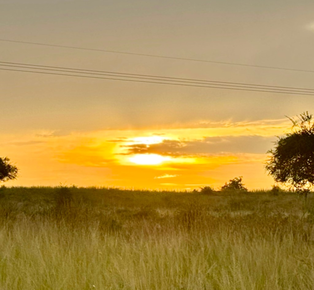 The Language of&nbsp;Praise