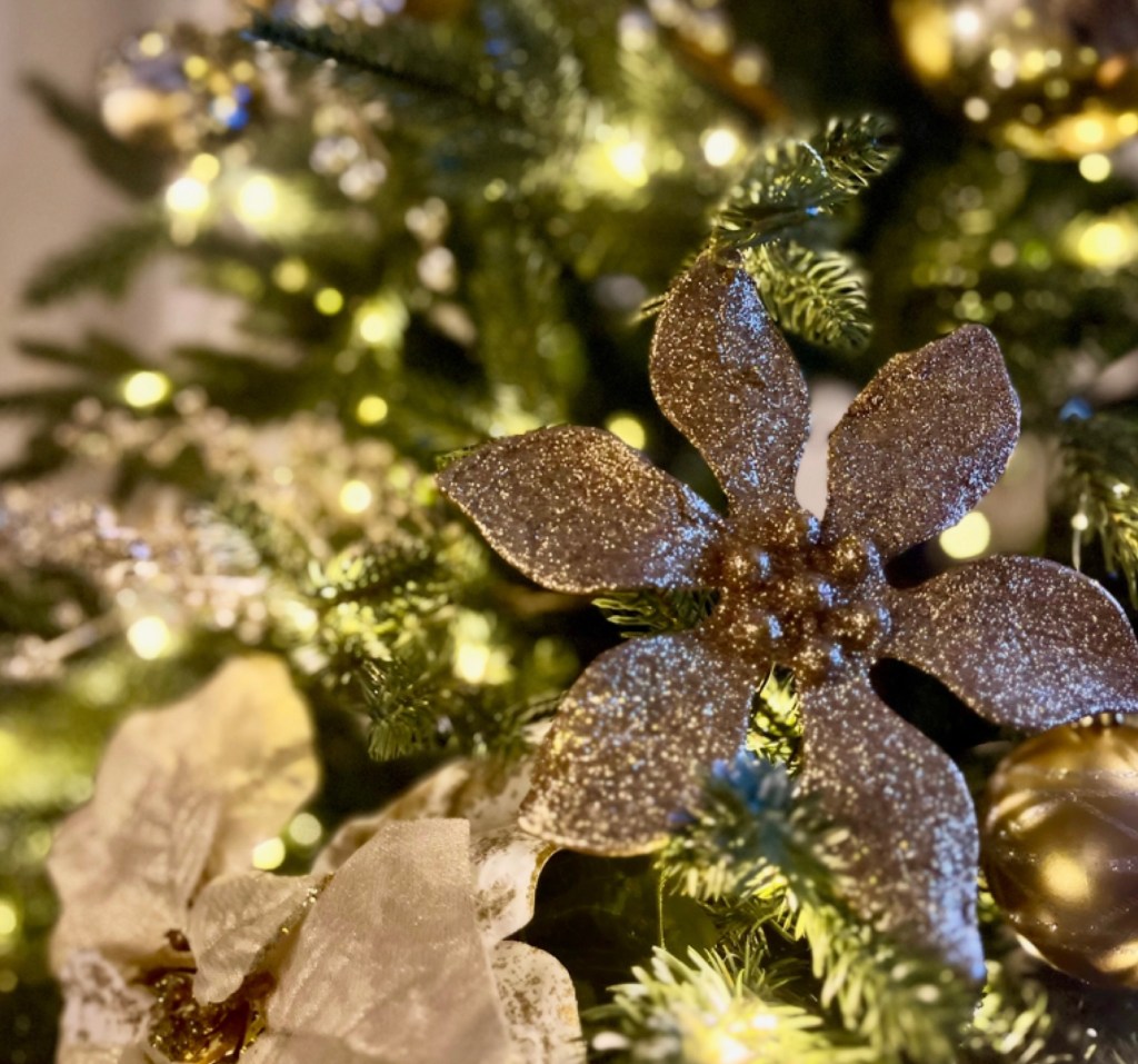 Carols Unwrapped: Joy to the&nbsp;World